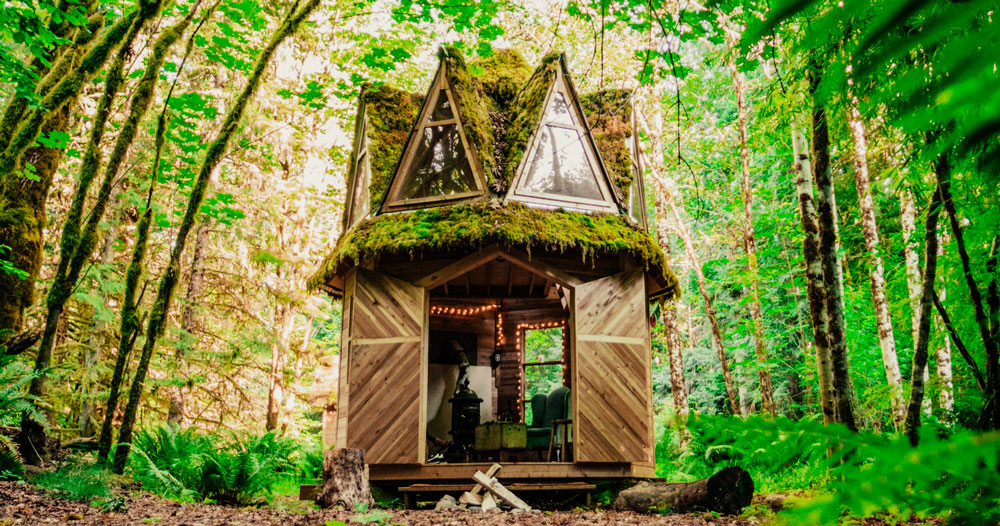 this tiny moss-covered cabin in the woods seems straight out of a storybook