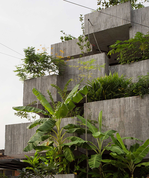 FORMZERO introduces urban farming in malaysia with 'planter box house'