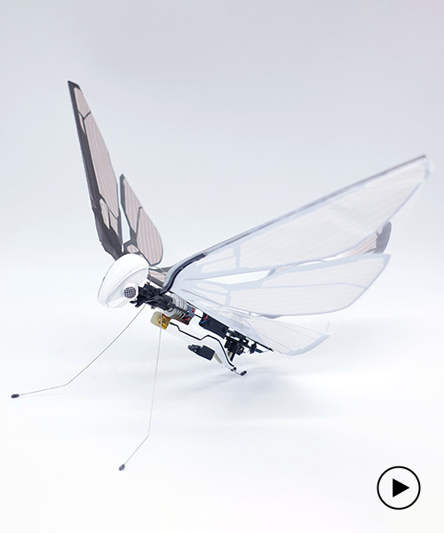 the metafly robotic insect uses biomimetics to mimic the real thing