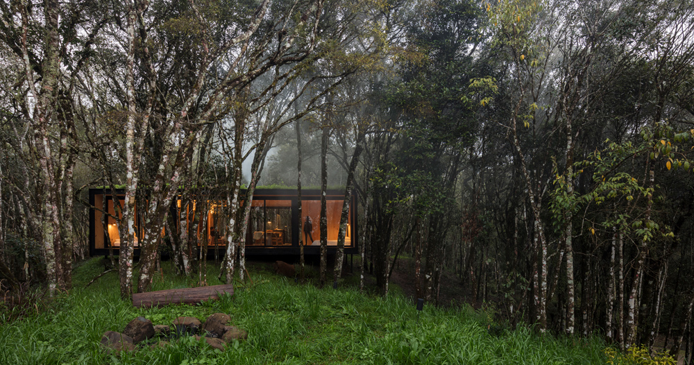 undulating bamboo canopy tops oval teahouse by pablo luna within lush  jungle in bali