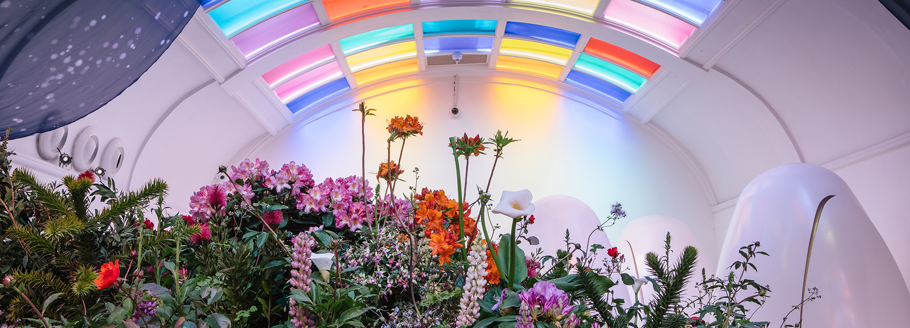 London Florists Transform Sketch Restaurant With Bucolic