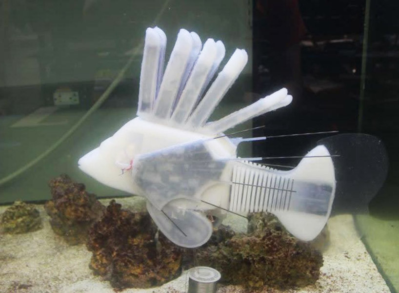 scientists develop robotic fish that uses hydraulic blood to swim for 36 hours