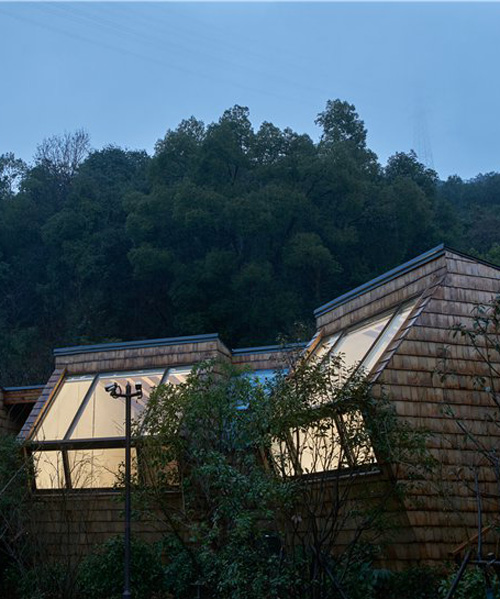 Star Cubes In Chinese Forest Gaze To The Sky In The Hangzhou - 