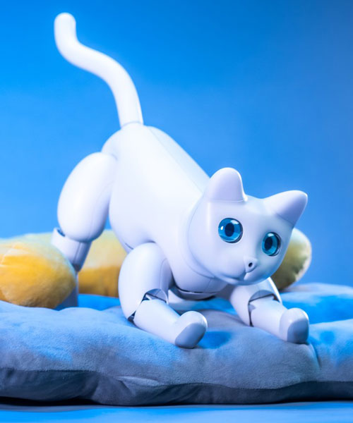 the marscat home bot is the world's first bionic robotic cat