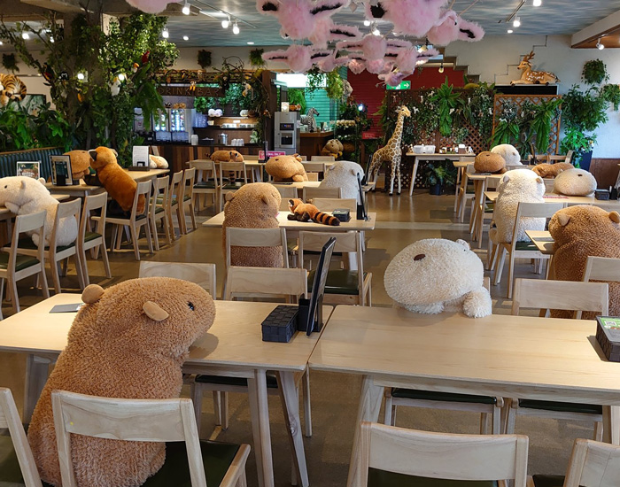 japanese zoo employs capybara stuffed animals to secure social distancing in its restaurant