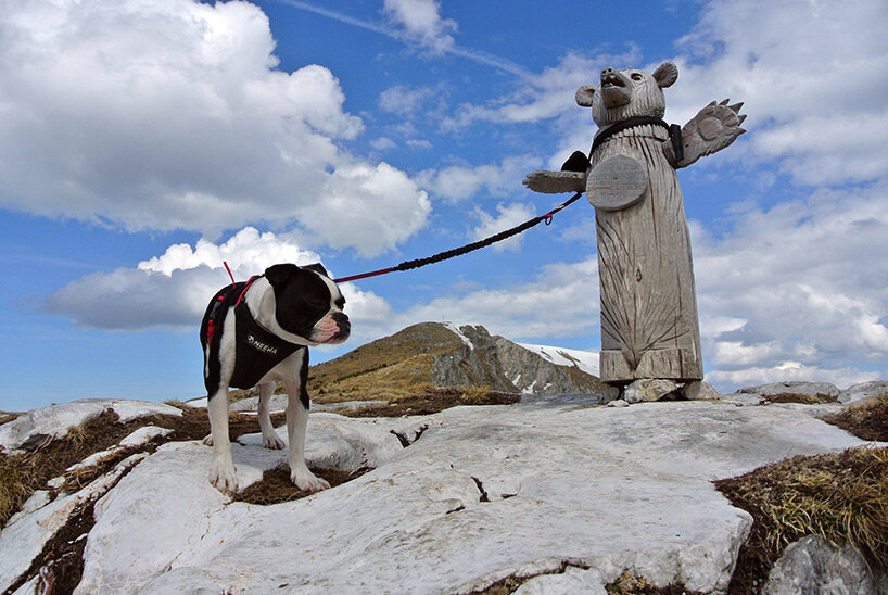 Remember The Mysterious Wooden Penis In The Austrian Alps It S Now A Giant Bear