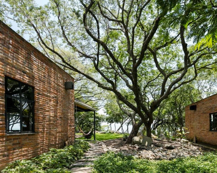 c3 arquitectos' house in mexico emerges as a cluster of scattered masses among vegetation