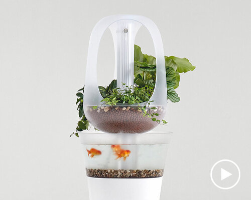 'eva' indoor aquaponics furniture grows fresh vegetables from fish waste