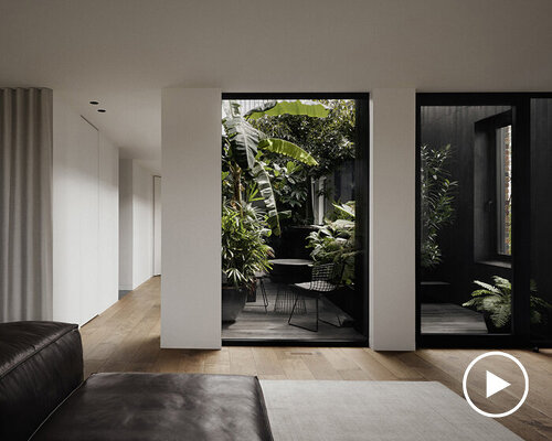 open-air courtyard adds a pop of green to the humble interior renovation in canada