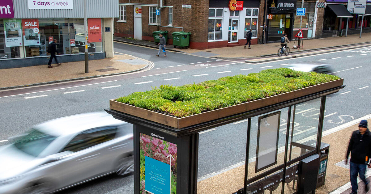 leicester transforms thirty bus stops into green-roofed 'bee stops'