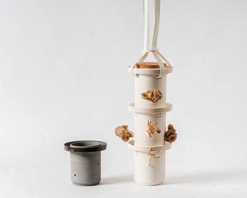 GAARA is a home ecosystem for edible mushroom cultivation bringing farm-to-table