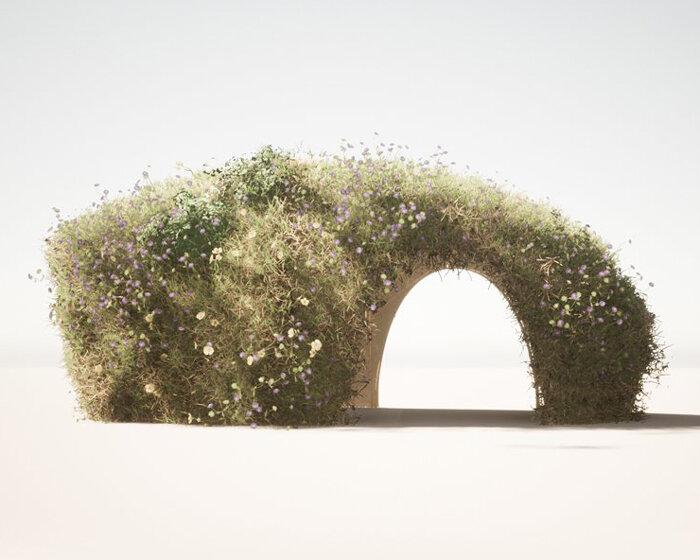 omri cohen creates living structural shells from jute, felt and wheatgrass seeds