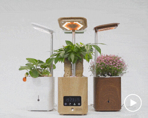 six-in-one smart 'hiplant' serves as pot, speaker, humidifier, air purifier, lamp and clock