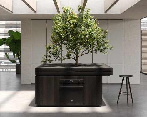 stefano boeri's tree-centered kitchen unit exhibited at milan design week 2021