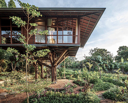 wooden treehouse C by alexis dornier's stilt studios hovers above blooming garden in bali