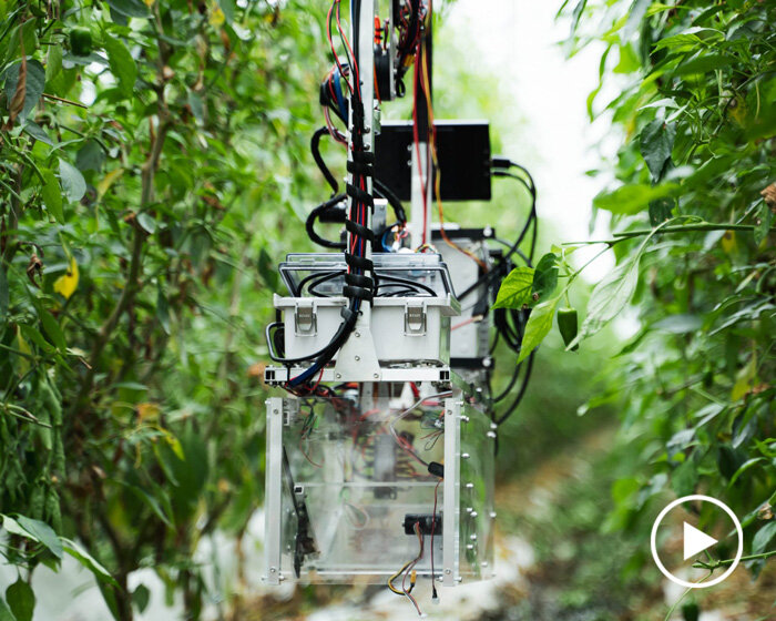 automatic harvesting robot seeks to solve japan's labor shortage problem