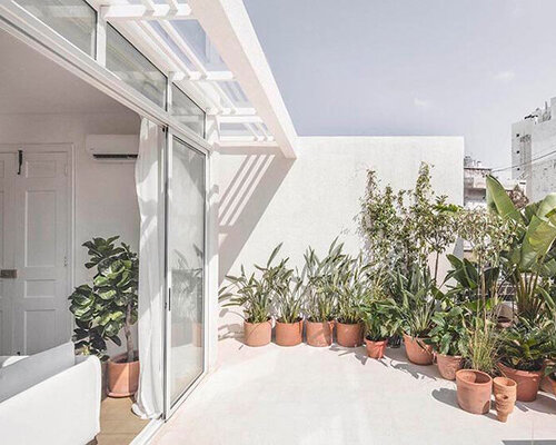 leafy plants + neutral tones take over this light-filled penthouse in the heart of beirut, lebanon