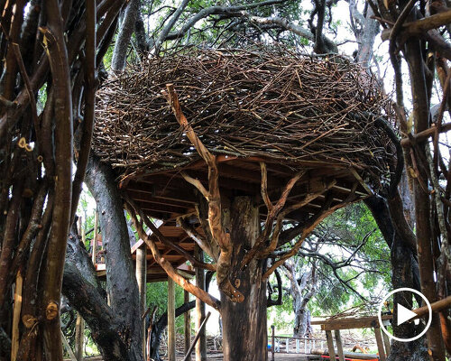 brooklyn-based designer charlie baker weaves enormous nests for humans