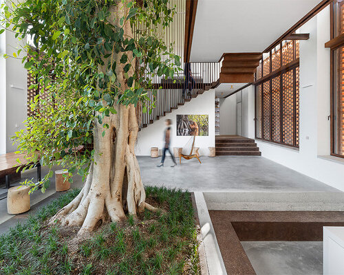 traditional farmhouse by carlo ratti in italy revolves around a ten-meter-tall ficus tree