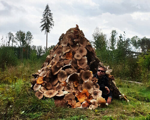 ulf mejergren architects creates edible 'mushroom hut' for autumn