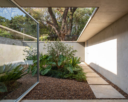 a glass pivot door blends house and garden for this são paulo residence