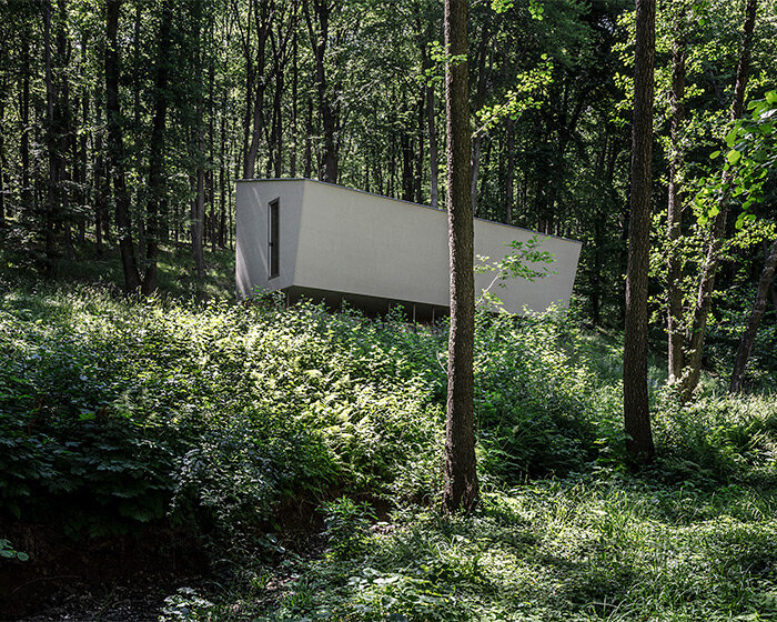 béres architects perches tiny cabin on thin stilts to protect vegetation in hungarian forest