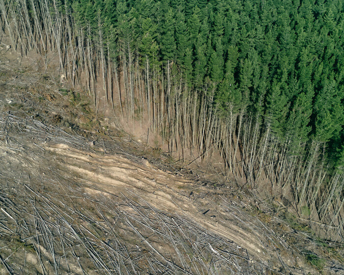 COP26: world leaders pledge to end deforestation by 2030