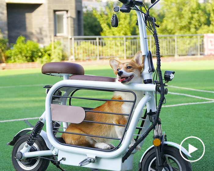 meet mopet: a compact e-scooter to take your dog for a ride