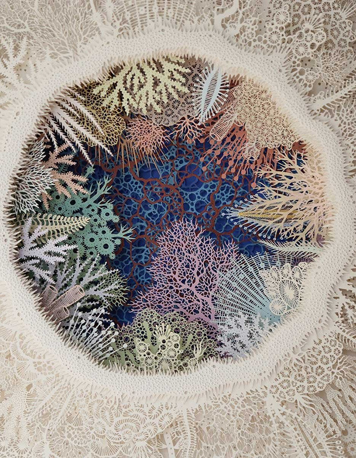 CORAL | designboom