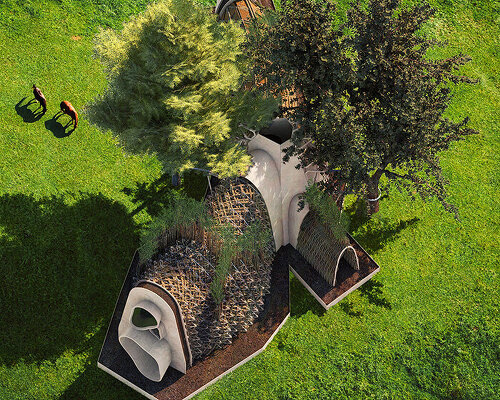 terreform one's home alive proposes a method to grow homes from native trees