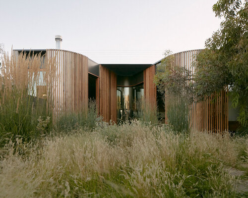 vivarium house in australia is designed to be 'consumed by its gardens'