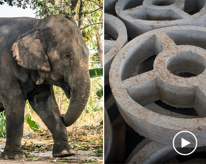 boonserm premthada, THE DESIGN PRIZE 2021 social impact winner, creates elephant dung bricks