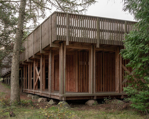 NORRØN architects designs a learning space among the trees of denmark's gribskov forest