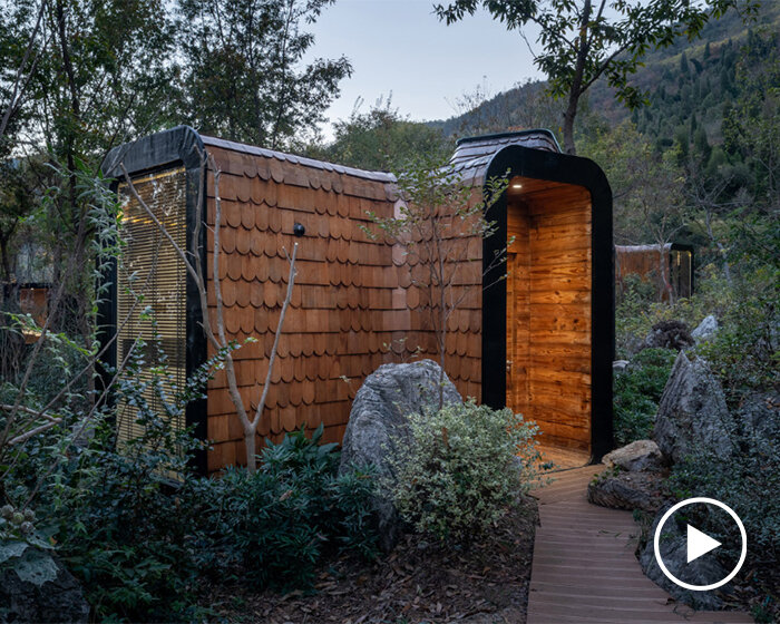 a cluster of branch-like cabins brings its residents closer to nature