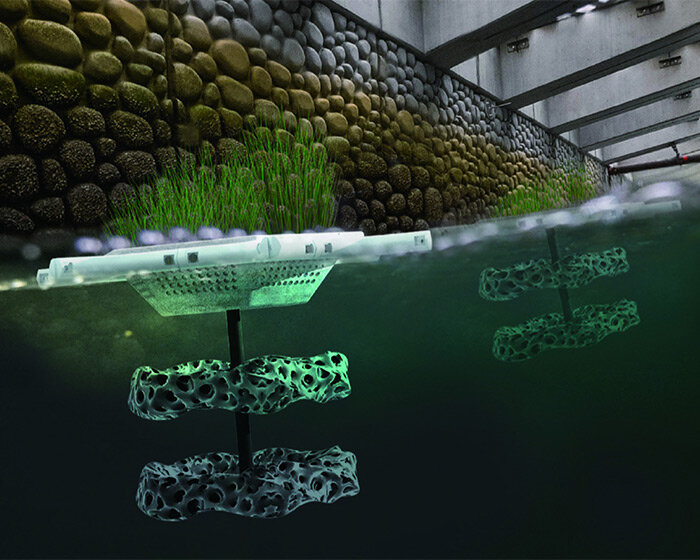 'C-ecology' concept proposes 3D printed coral reef ecosystem to revitalize urban rivers