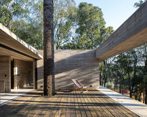 a tree grows in brazil, through this 'fortunata house' by luciano lerner basso