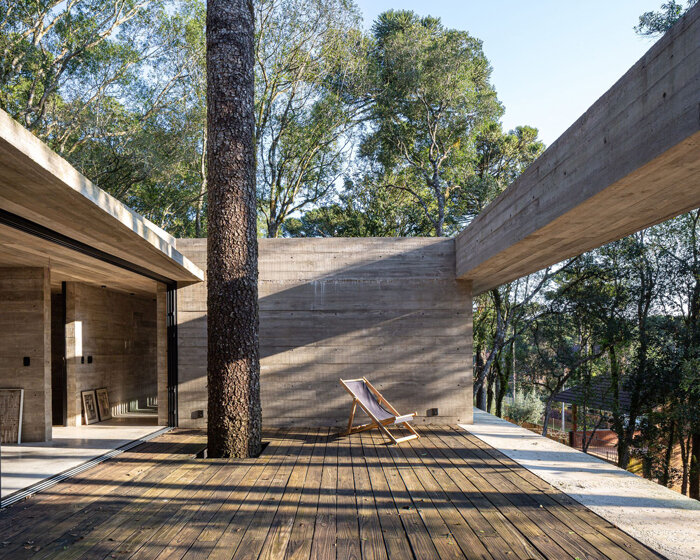 a tree grows in brazil, through this 'fortunata house' by luciano lerner basso