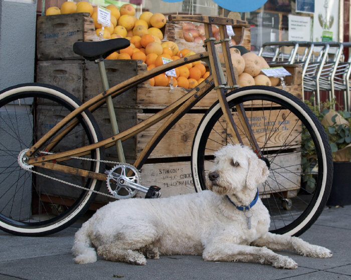 inspired by the ABARI bamboo bicycle, lance rake designs barrel stave bikes