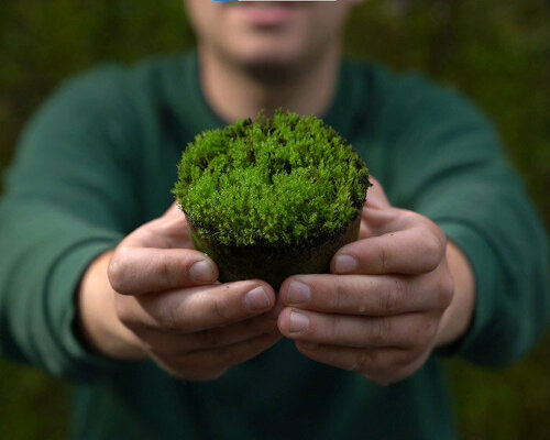 moss grows on concrete, empowering cities to respire and live green