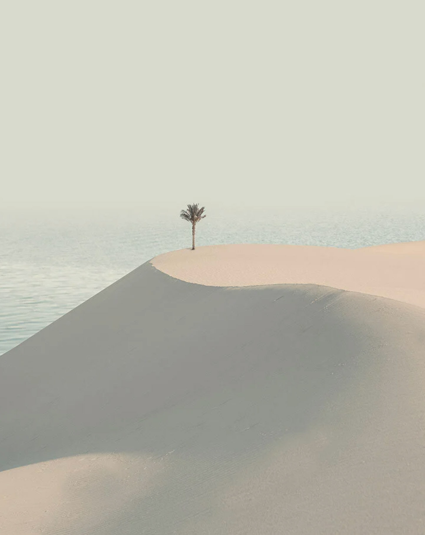 SOLITUDE | designboom