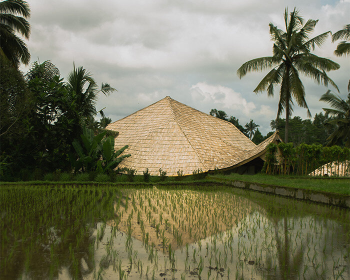 undulating bamboo canopy tops oval teahouse by pablo luna within lush jungle in bali