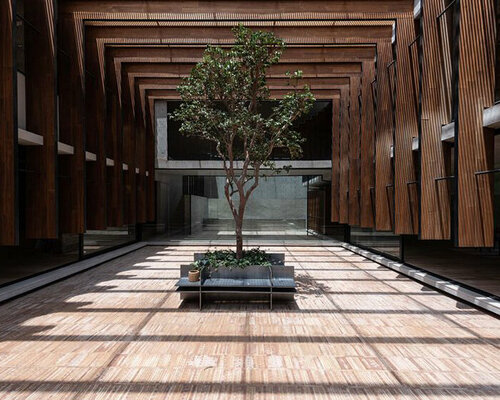 a 70-year-old guava tree becomes the central axis of 'casa patio del guayabo' in mexico