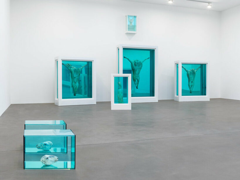 natural history: damien hirst's iconic formaldehyde sculptures on view ...