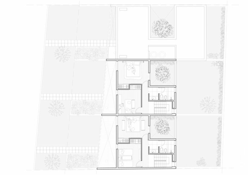 carob tree becomes the protagonist of baldio arquitectura's residential ...