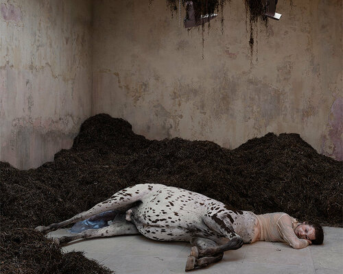 danish pavilion unveils transhuman installation 'we walked the earth' at venice art biennale