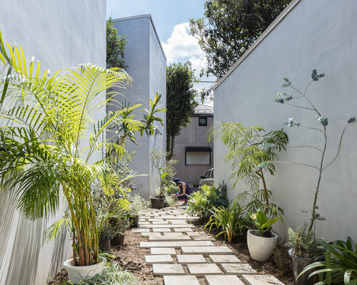 DOG's 'folding screen row house' creates a garden micro-village in tokyo