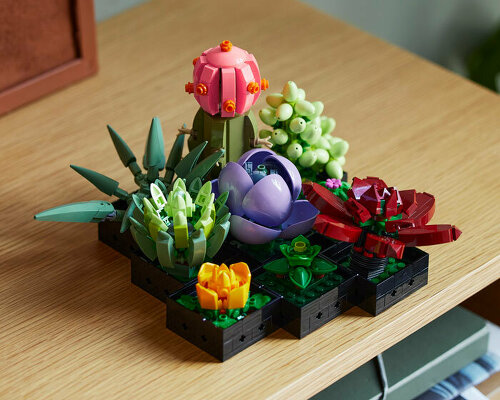 LEGO adds an orchid and succulents to its nature-inspired botanical collection