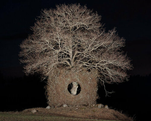 a giant nest encircles a solitary tree for the first in four part seasonal art series