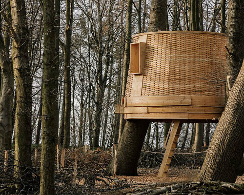 the 'sylvascope' treehouse by sebastian cox explores woodland care in the UK