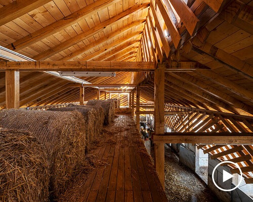 SKROZ architecture's eco pig farm in Croatia redefines common livestock spaces